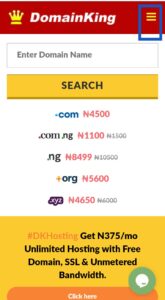 domainking homepage